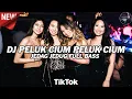 Download Lagu DJ PELUK CIUM PELUK CIUM v2 TIKTOK VIRAL - JUNGLE DUTCH TERBARU FULL BASS 2022