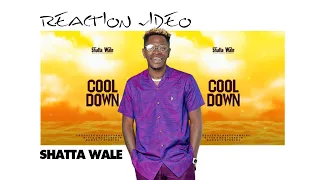 shatta wale cool down audio reaction 