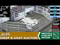 MARYVILLE LIVESTOCK AUCTION 1 800 Head Monthly Sheep Goat Auction April 10 2026