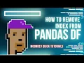 Quick Tutorial on How to Remove the Index from a DataFrame in Pandas Python 2025 by Moon Dev