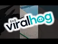Download Lagu Menguji Keterampilan Burung || ViralHog