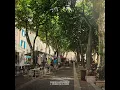 L´ombre du platane - Magnus Ludvigsson