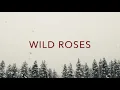Wild Roses by Beth Whitney (lyric video)