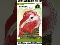 2021 Michigan Spring Turkey Hunting Digest Now Available Online