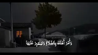 اواخر سوره طه بصوت القارئ عبد السلام العبيدي 