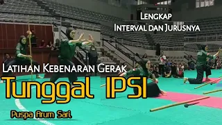 peragaan kebenaran gerak jurus tunggal ipsi penataran pelatih nasional pencak silat