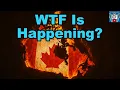 Download Lagu Wat is er aan de hand in Canada...
