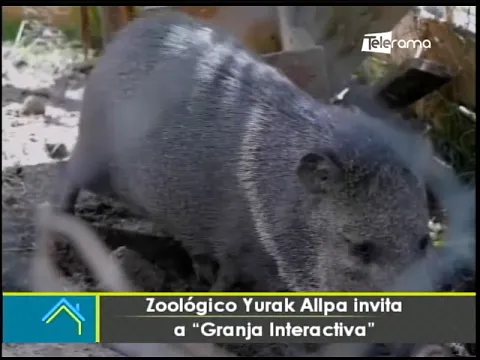 Zoológico Yurak Allpa Invita a Granja Interactiva