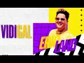 Download Lagu VIDIGAL - Eric Land