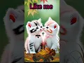 Download Lagu Ey Hasnain ke Nana#Milad raza qadri#cute cat Naat #viral #viralshort #cat 009