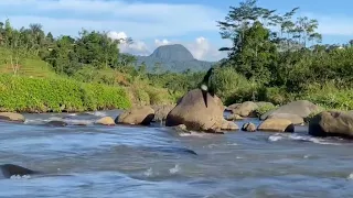 sekali seumur hidup lagu ini menyentuh
