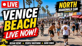 Venice Beach Cam LIVE NOW North Boardwalk Cam Ocean Views People Watching