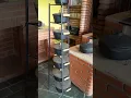 franguinho na panela