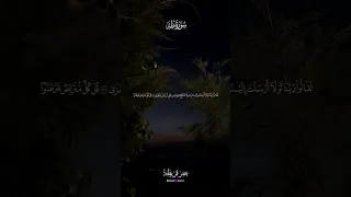 نور على نور   دندنها