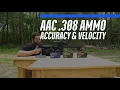 PSA s AAC 308 Winchester Ammo Testing Accuracy Velocity