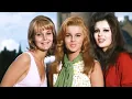 Hollywood Classics The Pleasure Seekers 1964 Ann-Margret Tony Franciosa