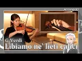 Download Lagu Libiamo ne' lieti calici - Violin | G.Verdi【Practice Version】