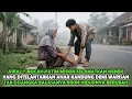 Download Lagu VIRAL !! B0CAH PENGEMIS SELAMATKAN NENEK YANG DITELANTARKAN PUTRA KANDUNG DEMI WARISAN , TERNYATA