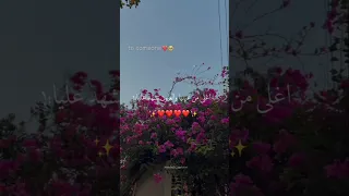 اغلى من عينيا والعيون تشهد عليا تصميمي Foryou حالات واتس بتاعedit 