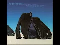 Hammock - 2006 - Raising Your Voice... Trying To Stop An Echo [FULL ALBUM]
