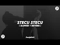 Download Lagu DJ STECU STECU KOPLO REMIX ( SLOWED + REVERB )🎧🎶