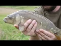 So many carp caught at Turners pool