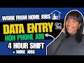 DATA ENTRY 4 Hour Shift Part Time Work From Home Jobs 2026