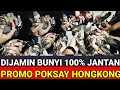 Download Lagu 🔴KITA KASIH MURAH POKONYA UNTUK BURUNG-BURUNG LOKAL \u0026 IMPORT