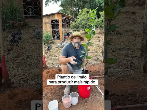 Tire o ar da muda!!! #agro #dicas #interior #roça
