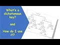 Dichotomous Key tutorial
