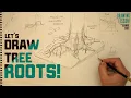 Learn to Draw Tree Roots Level up your Fundamentals - Comics Illustration