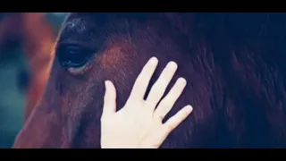 ورجوت  عيني أن تك ف   دموعها يوم  الوداع  نشدت ها لا تدمعي دندنها