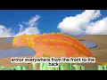 Ankylosaurus (lyric video) | Andyrooniverse Songs for Kids