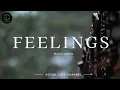 Download Lagu Feelings - Morris Albert ( Lirik Terjemahan )