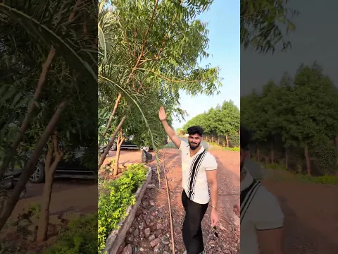 एक निर्णय ने इसे पेड़ बना दिया #pawansahu777 #motivation