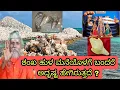 Download Lagu Shankha hula  Chakra gadhe Kamala  Anantha Padhma nabha Lakshmi Yanthra thanthra manthra Siddhi Shak