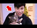 Every George Patches Moment Ever