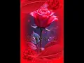 Download Lagu #zindagi main hame sirf tum chahiye#lovesong #music #musiclyrics editz#@Pprs476