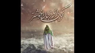 کربلای حسین علی فاطمی یا صاحب زمان الغوث و الامان 