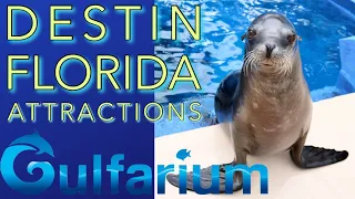 Visiting the Gulfarium in Destin Florida Full Tour