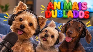 Animais Dublados - GutoTV (Personalizados)