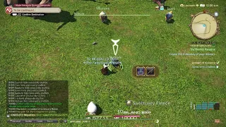 FFXIV Island Sanctuary Normal vs Rare Animal leafings