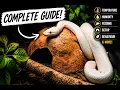 Ball Python Care Guide 2026 Everything You Need to Know