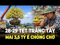 Lagu Ế Thê Thảm Tết 2026: Cú sốc \