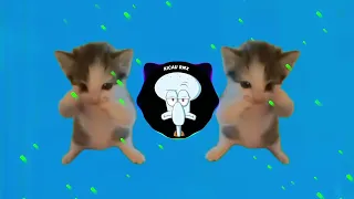 dj kicau mania remix slow viral fyp tiktok full song newest 2026
