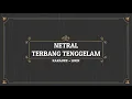 Lagu [KARAOKE + LIRIK] NETRAL/NTRL - TERBANG TENGGELAM