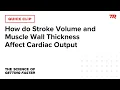 How do Stroke Volume and Muscle Wall Thickness Affect Cardiac Output Science of Getting Faster 1