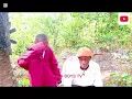 Download Lagu SELINA BOYS TV King azalaar