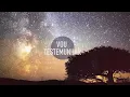 VOU TESTEMUNHAR DO AMOR  | SONETE | MENOS UM