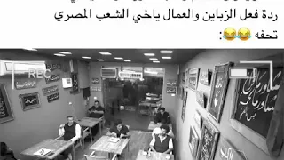 ثلاث دقات الشاورما    دندنها